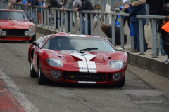 m.c.f.DSC_0147