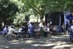 wp-17548918648765383636856724929884