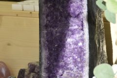 wp-17548918656142499143283286680337-scaled