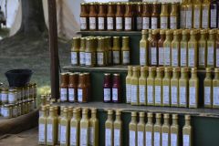 wp-17548918671453959513518978001537