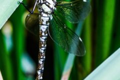 20230915-_DSC5191-scaled