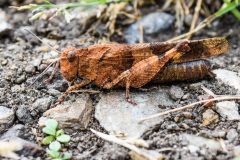 20230915-_DSC5274-scaled
