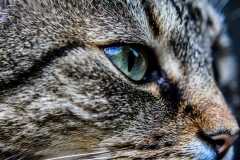 IMG-20230826-WA0033