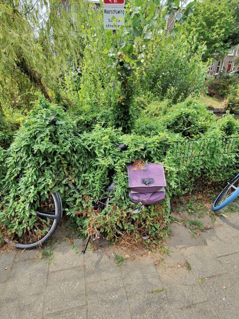 Fahrrad der Natur