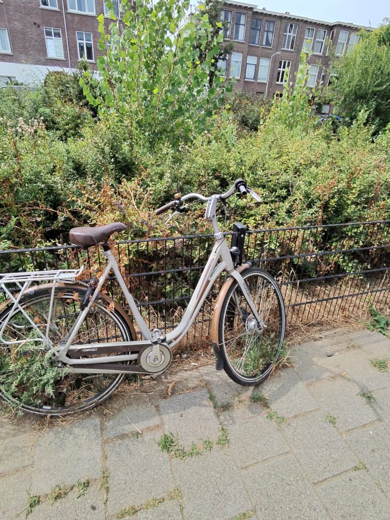 Fahrrad der Natur II